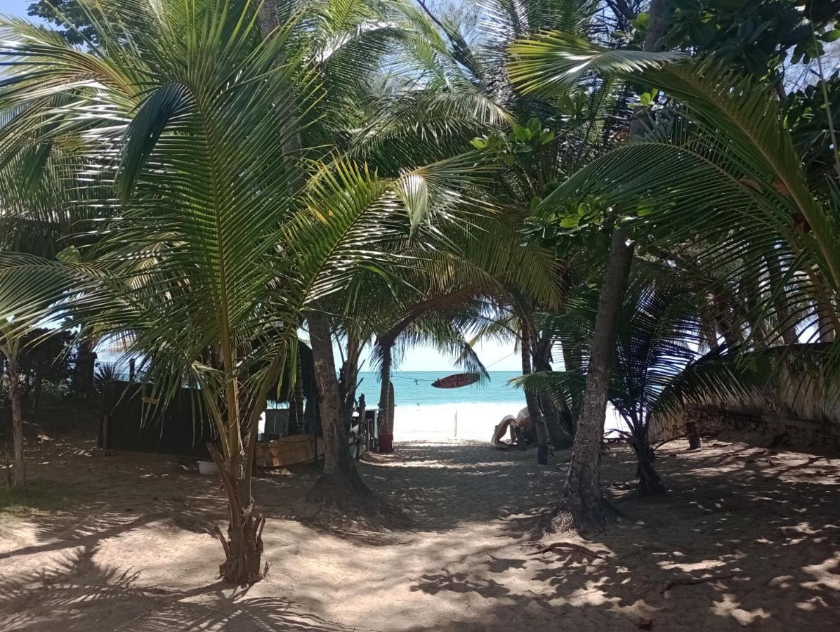 شقة Porto De Galinhas Lindo Ap 2 Q 2 Banh 40 M Da Praia المظهر الخارجي الصورة